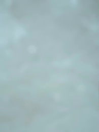 Episode 13 - None Shall Grow Old With You