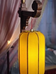 Épisode 34 - Le reflet d’une beauté éphémère