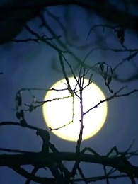 Không Phụ Cảnh Ninh - Episode 34