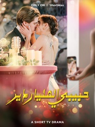 حبيبي الملياردير