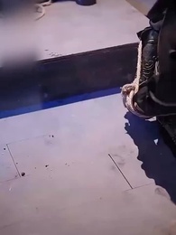 Tập 29 - Không Phụ Cảnh Ninh