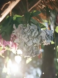 Pria yang Kuselamatkan Ternyata Pangeran? - Episode 12