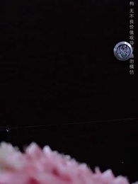 我的網紅鄰居 - Episode 3