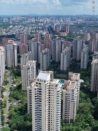 第14集 - 我的網紅鄰居