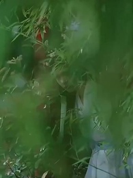 Tập 40 - Không Phụ Cảnh Ninh