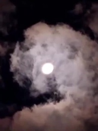 Episode 35 - Petals Upon the Throne