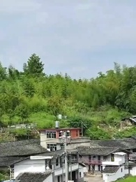 第50話 - お嬢様 また正体がバレた