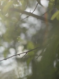 Episodio 18 - Rubando il mio Alfa Ghiacciato