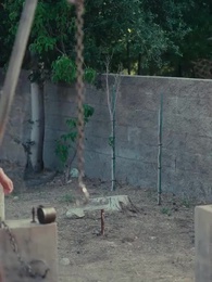 Verbotener Alpha: Das Schicksal der Mondgöttin - Episode 71