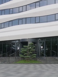 Jugando con Fuego - Episode 45