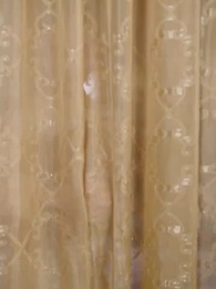 The Palace of Lies - Episode 35