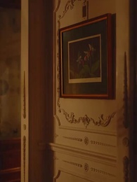 Episodio 31 - Rubando il mio Alfa Ghiacciato