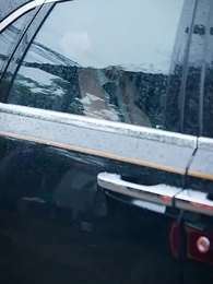 Episode 52 - An Unforgettable Love