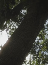 Rubando il mio Alfa Ghiacciato - Episode 58