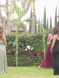 Episodio 38 - Il Cuore Rubato del Mio Alfa