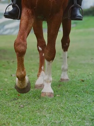 Rahasia Magang - Episode 7