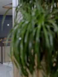 Finta Moglie, Vero Amore - Episode 42