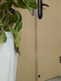 Episodio 68 - Finta Moglie, Vero Amore