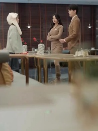 Episodio 35 - Finta Moglie, Vero Amore