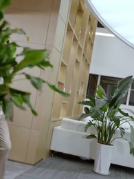 Finta Moglie, Vero Amore - Episode 44