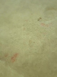 Episódio 19 - Lâmina Perdida