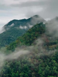 Episode 6 - Kebangkitan Hari Bunga