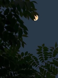 2화 - 다시 깬 꿈