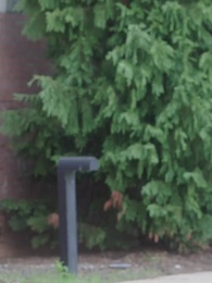 My Cold-Hearted Mafia King - Episode 10