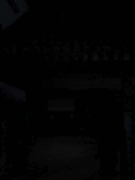 第24集 - 功夫雙胞胎爹地來過一招