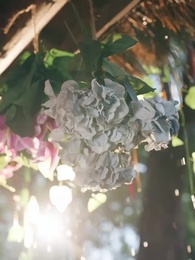 第12集 - 枕春色