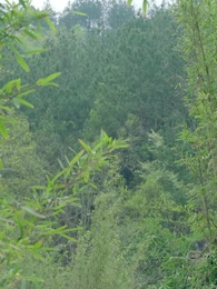 姫様は偽りの月を仰ぐ - Episode 26