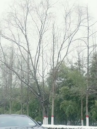 Episodio 74 - AMORE VIZIOSO