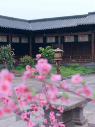 姫様は偽りの月を仰ぐ - Episode 37