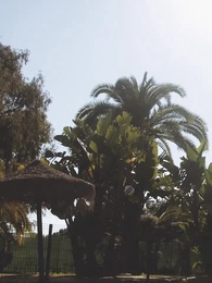 My Cold-Hearted Mafia King - Episode 40