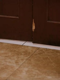 パパはウォール街の伝説の帝王だった！ - Episode 21