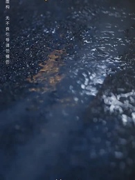 حين تعود الطيور - Episode 44