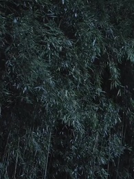 Episode 60 - Two Thrones, One Empire