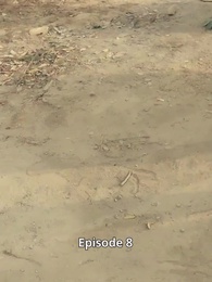 Episode 8 - Dewa Gembala - Reformasi Yan Kang