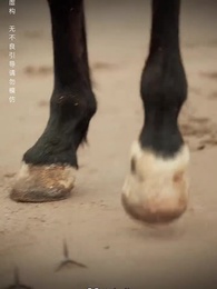 حين تعود الطيور - Episode 28