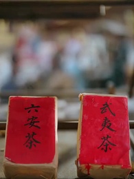 魚目混珠 - Episode 56