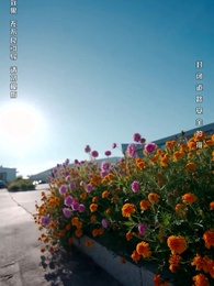 以眼還眼 - Episode 32