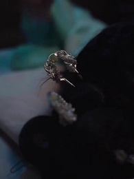 Kembali ke Zaman Dulu Menjadi Dewa Perang - Episode 2