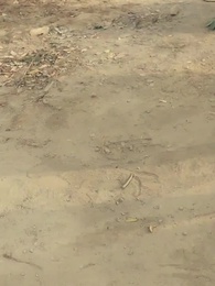 Tales of Herding Gods - The Reform of Valkon - Episode 8