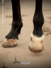 전처의 그림자 - Episode 28