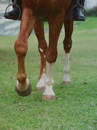 實習生是大佬夫人 - Episode 7