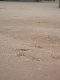 おだやかなとき - Episode 8