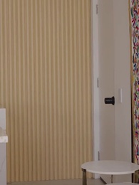 Épisode 17 - Le Témoin est Mon Ex Milliardaire