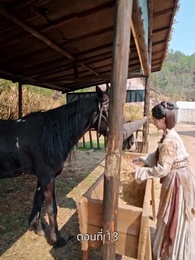 รักข้ามแคว้น แดนคนละฟ้า - Episode 13