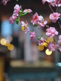 장군부 이야기 - Episode 24