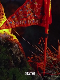 37화 - 모태 수련자